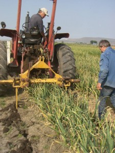 The Garlic Lifter in Progress (image courtesy of John Dey)