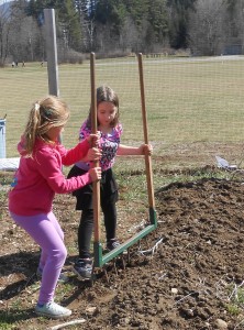 Elementary school girls demonstrating use of the broadfork... child labor at its finest.