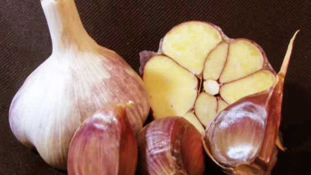 Hardneck - Marbled Purple Stripe Garlic