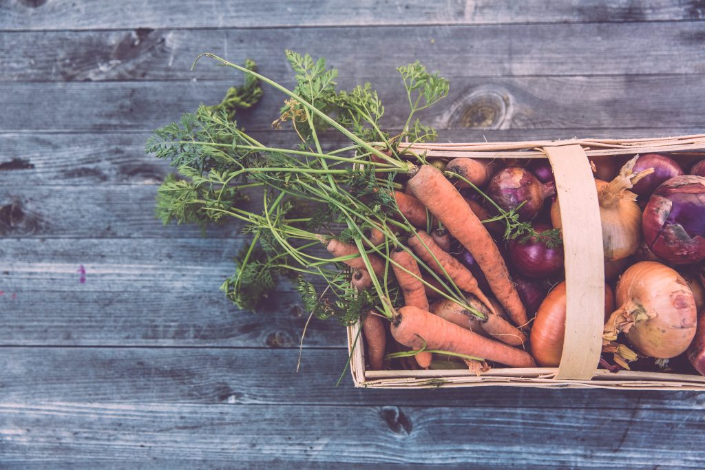 Basket of carrots and onions from vegetable garden