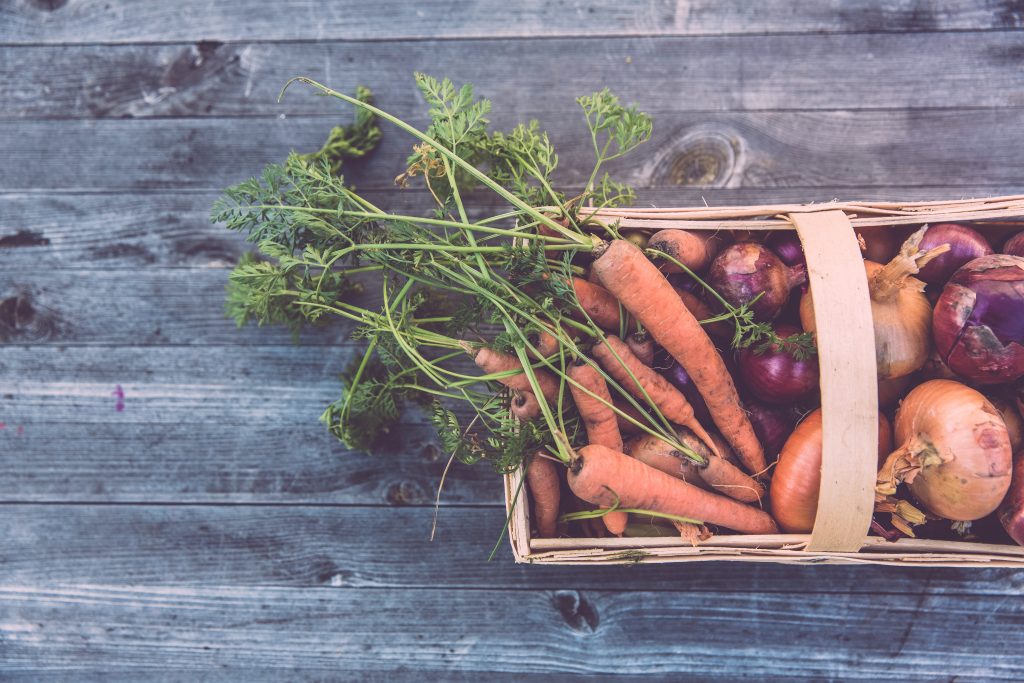 Basket of carrots and onions from vegetable garden